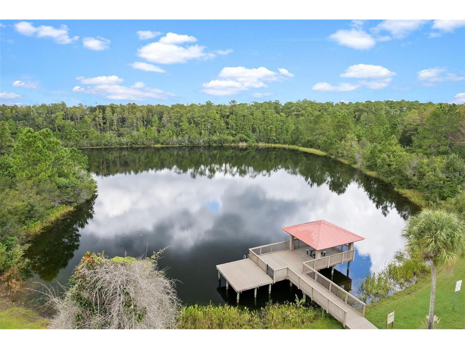 8328 Auburn Rise Court Land O Lakes FL 34638 TB8470249 image45