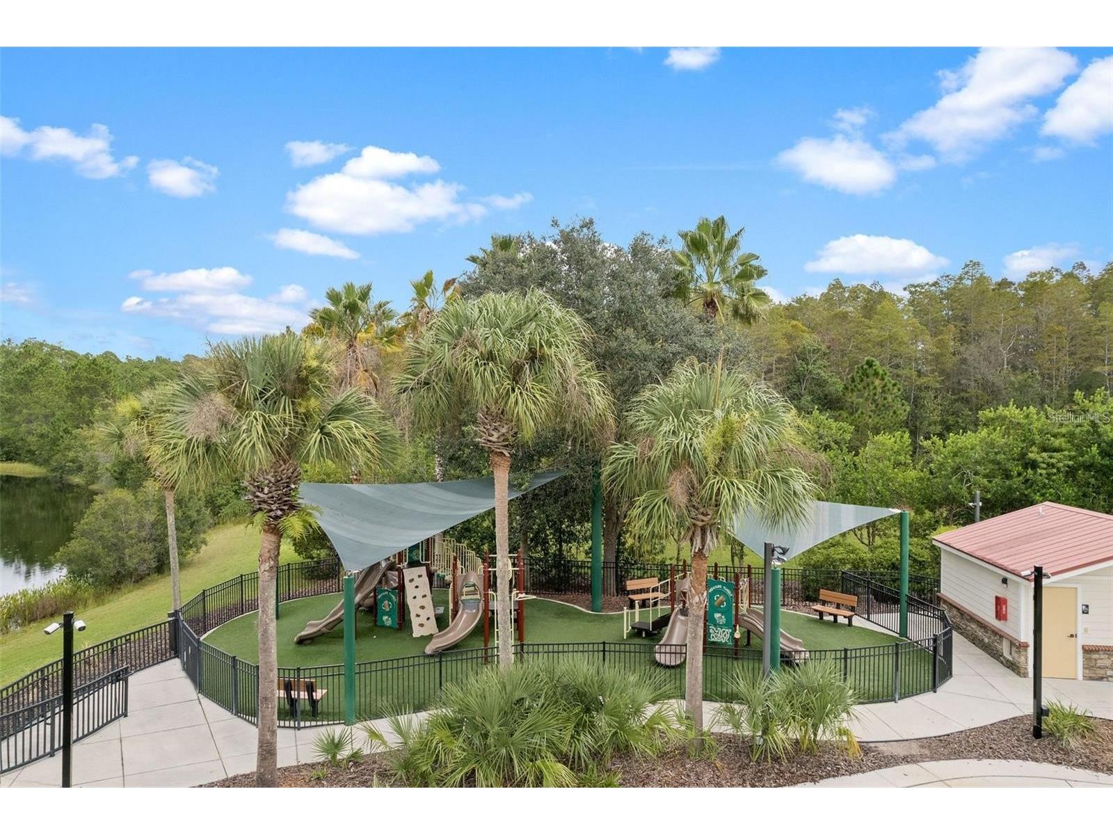 8328 Auburn Rise Court Land O Lakes FL 34638 TB8470249 image46