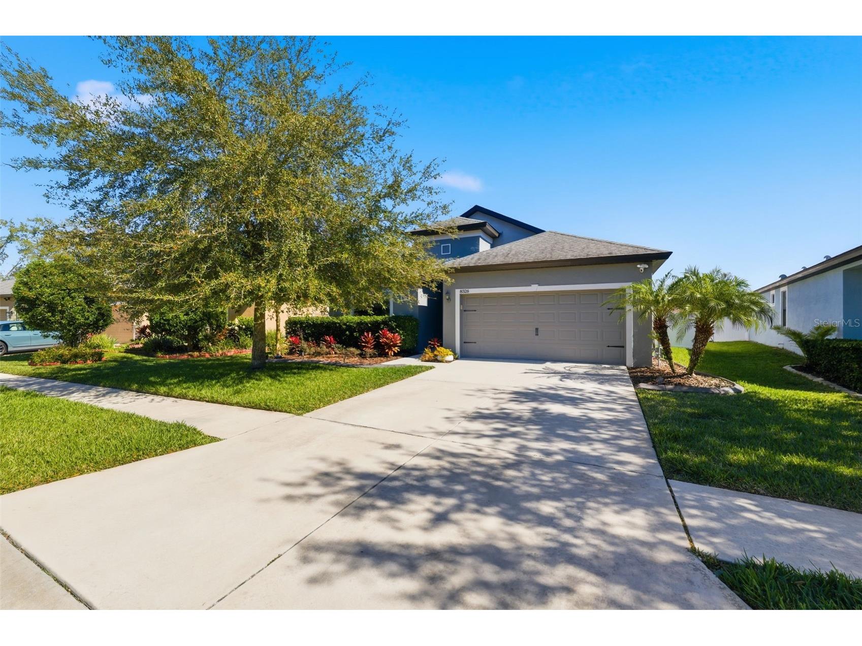 8328 Auburn Rise Court Land O Lakes FL 34638 TB8470249 image50