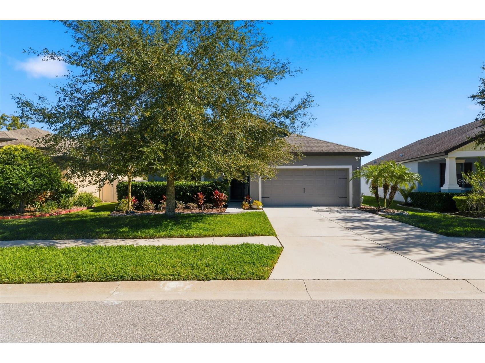 8328 Auburn Rise Court Land O Lakes FL 34638 TB8470249 image51