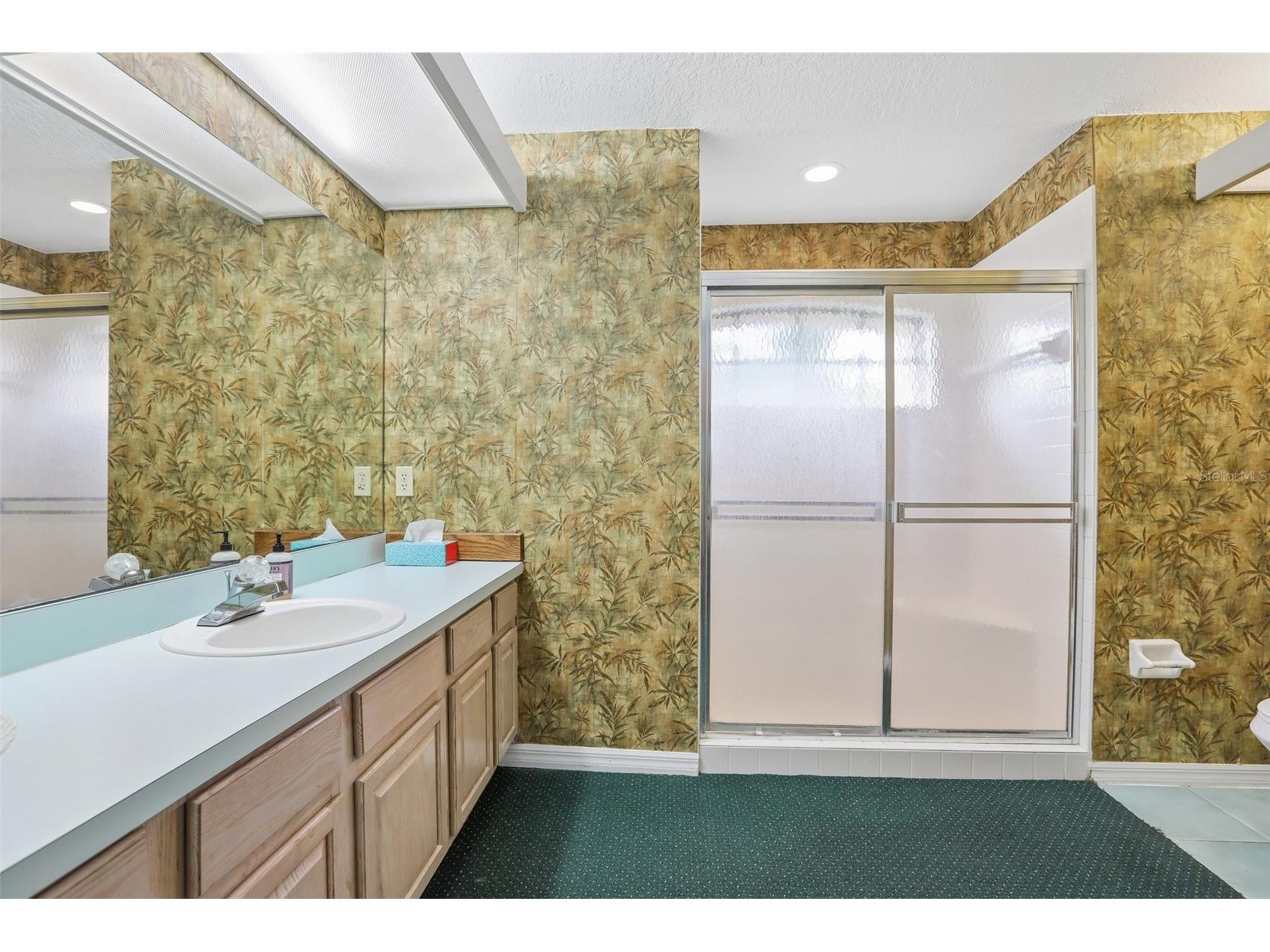 8328 Pavilion Drive Hudson FL 34667 C7528139 image32
