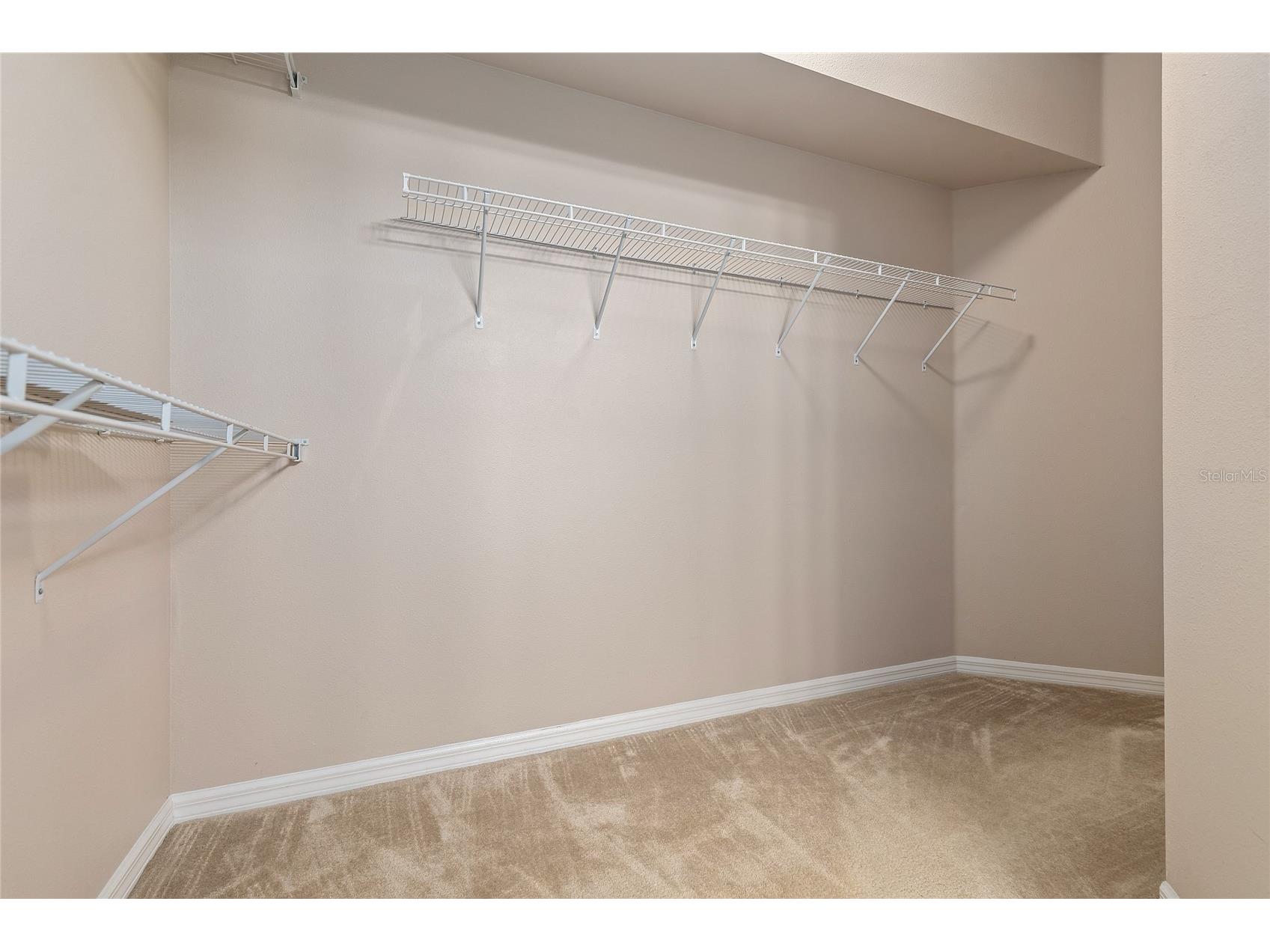 8328 Ponkan Road Land O Lakes FL 34637 W7884227 image18
