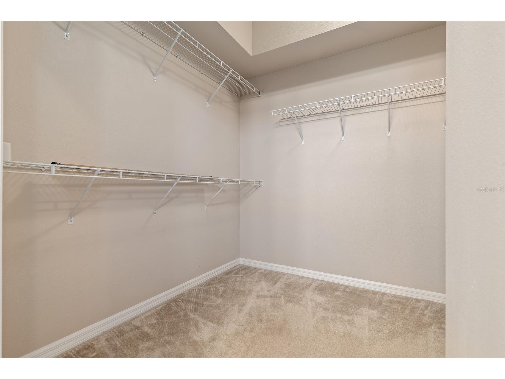 8328 Ponkan Road Land O Lakes FL 34637 W7884227 image19