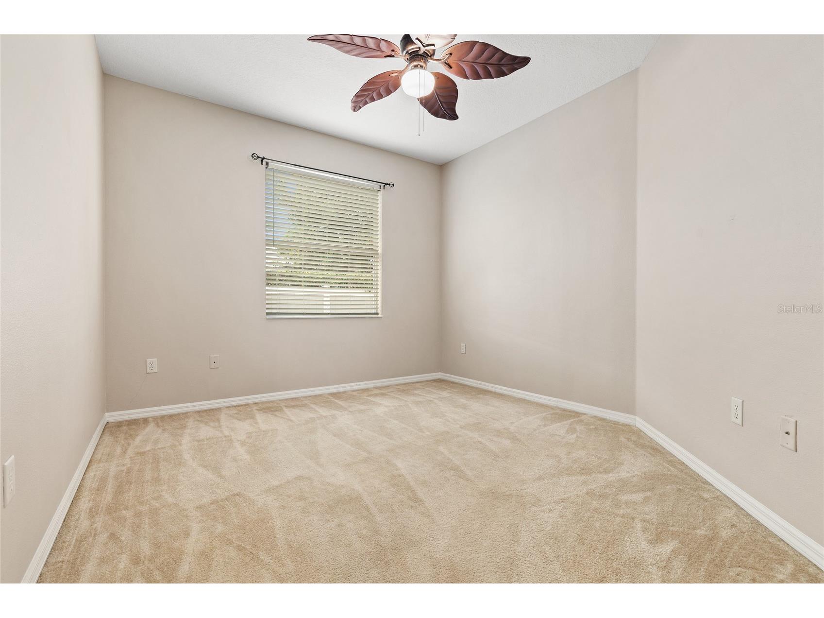8328 Ponkan Road Land O Lakes FL 34637 W7884227 image24