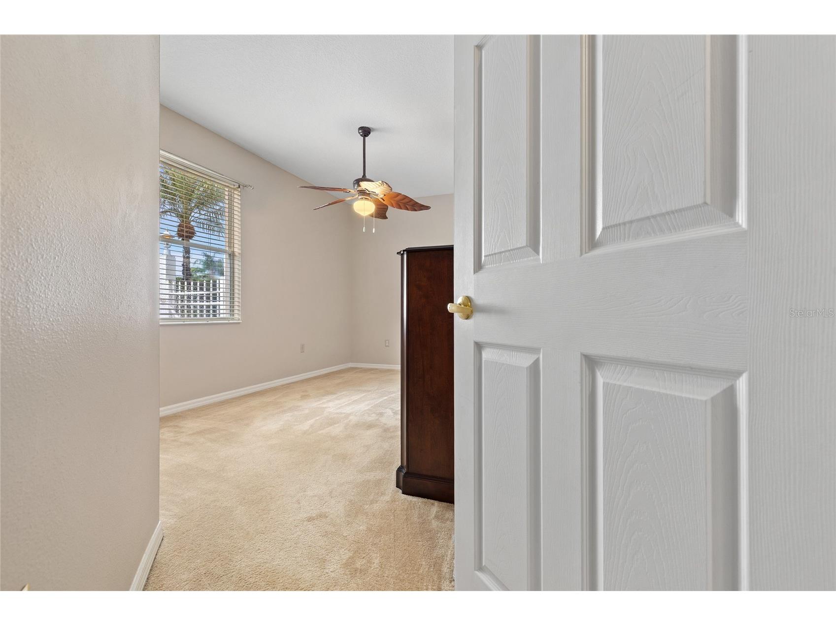 8328 Ponkan Road Land O Lakes FL 34637 W7884227 image26