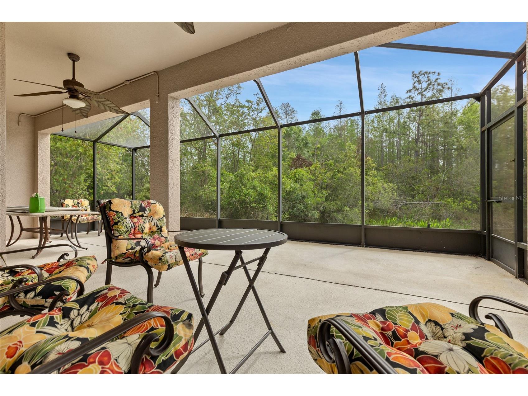 8328 Ponkan Road Land O Lakes FL 34637 W7884227 image29
