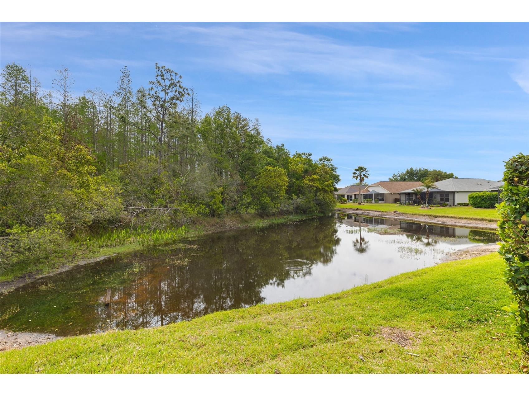 8328 Ponkan Road Land O Lakes FL 34637 W7884227 image6