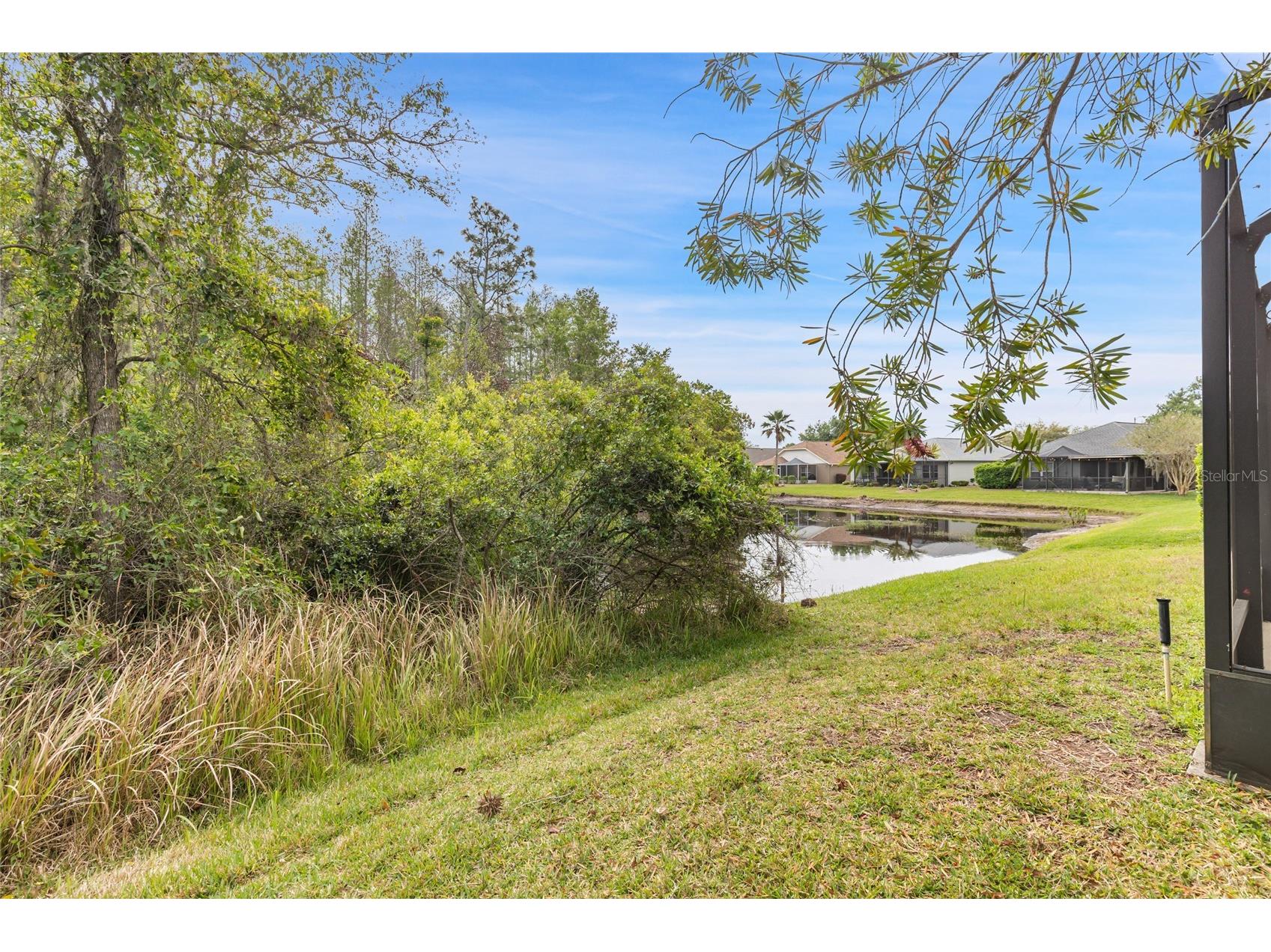 8328 Ponkan Road Land O Lakes FL 34637 W7884227 image8