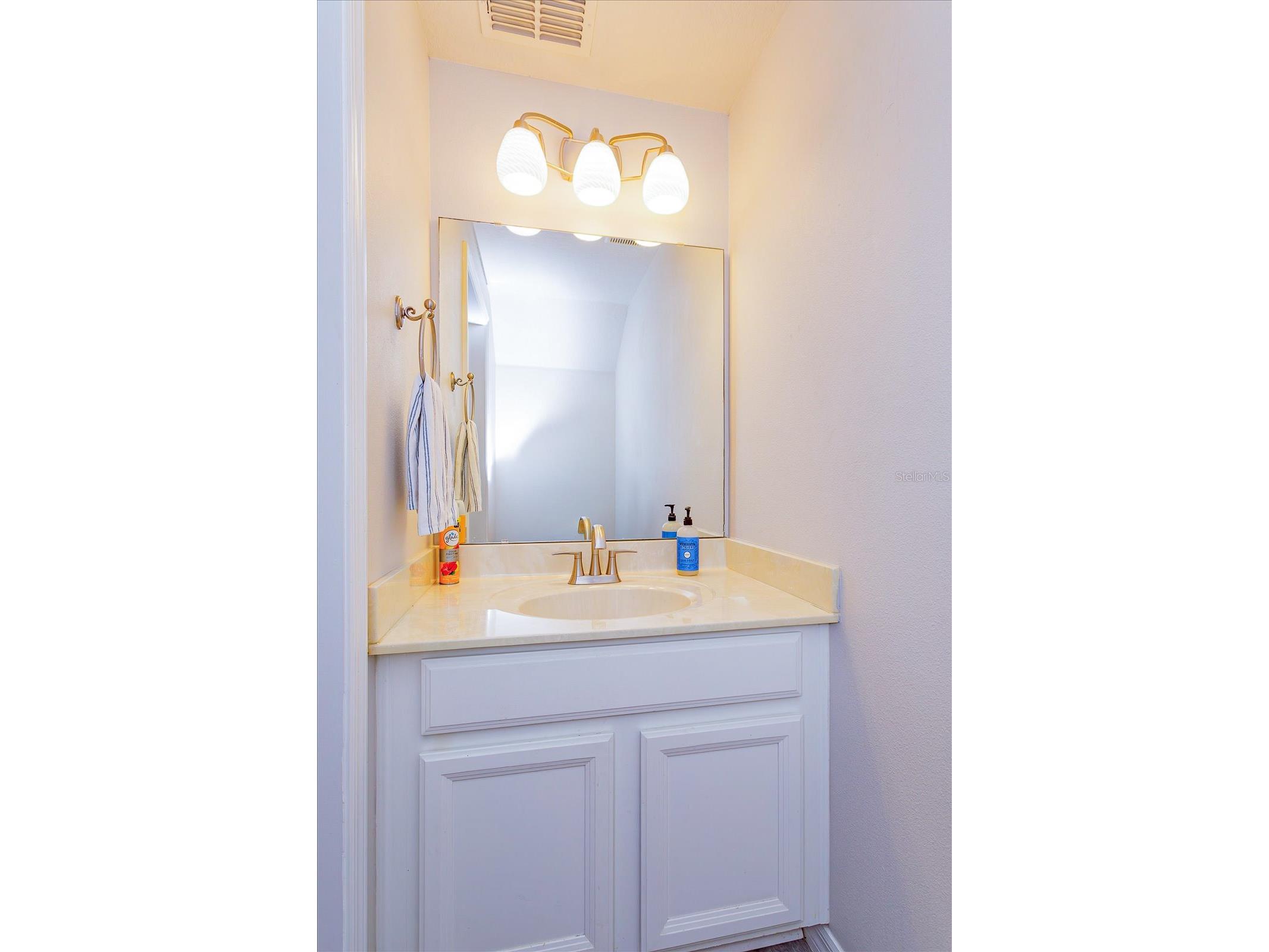 833 Bending Oak Trail Winter Garden FL 34787 O6403683 image17