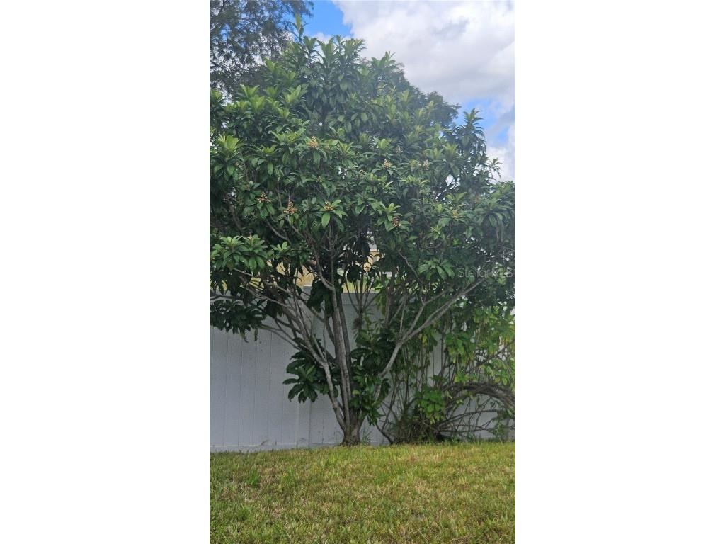 833 Jefferson Boulevard Haines City FL 33844 OM709567 image17