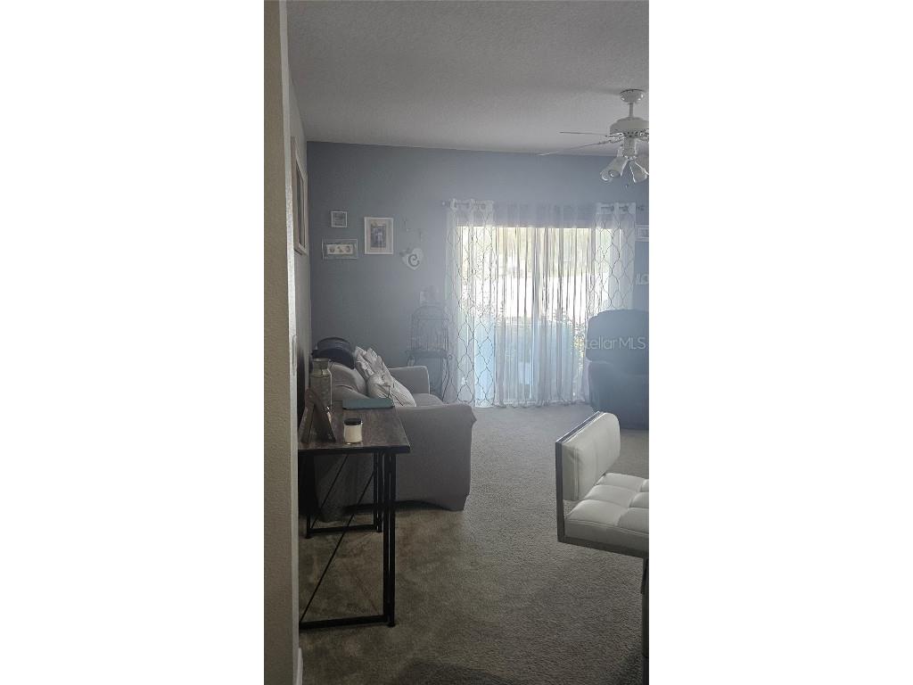 833 Jefferson Boulevard Haines City FL 33844 OM709567 image47