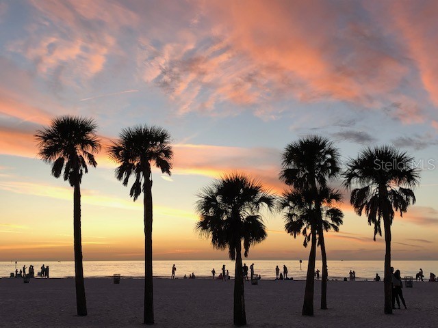 833 Lantana Avenue Clearwater Beach FL 33767 TB8376749 image3