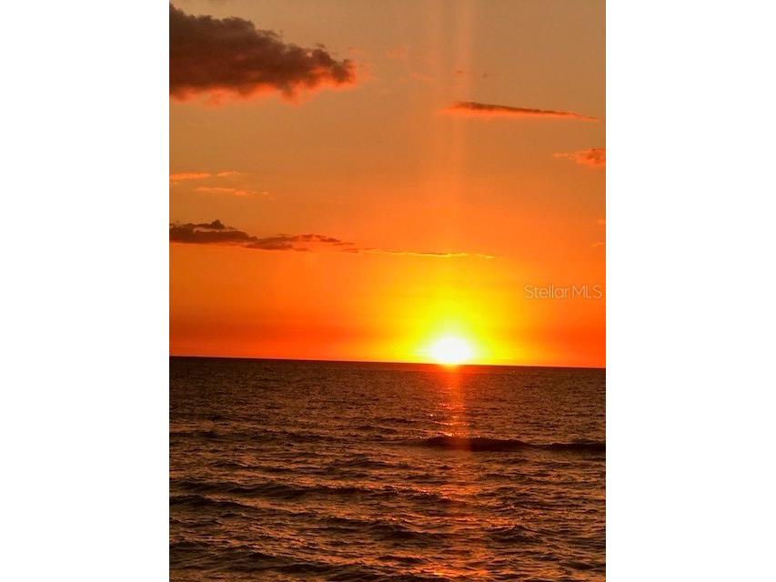 833 Lantana Avenue Clearwater Beach FL 33767 TB8376749 image36