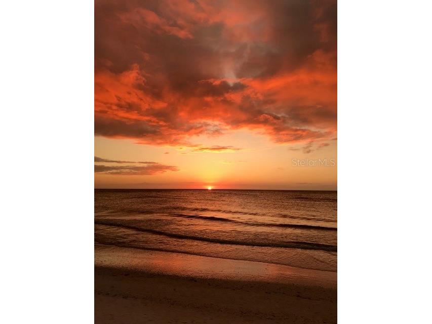 833 Lantana Avenue Clearwater Beach FL 33767 TB8376749 image37