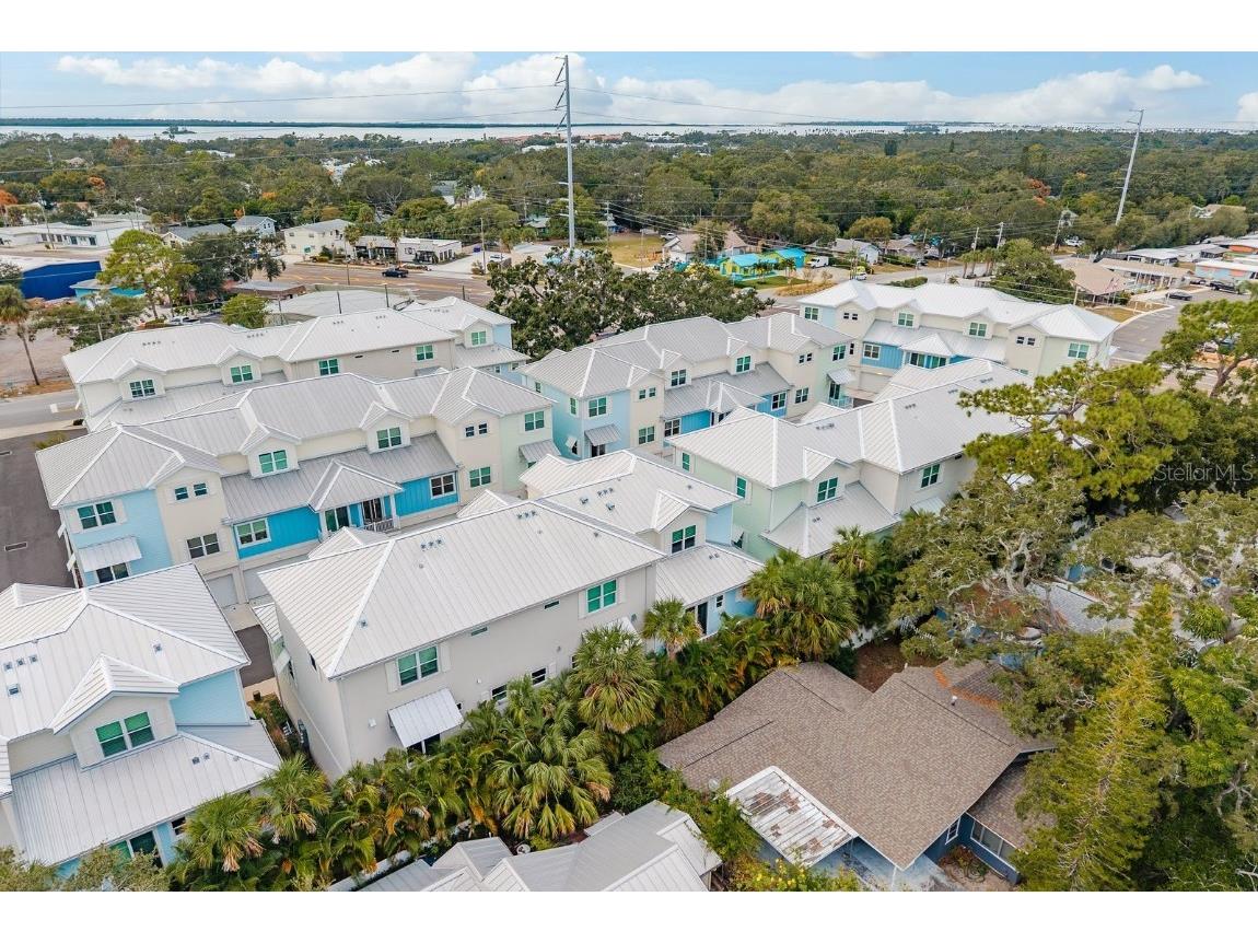 833 Oak Bend Lane Dunedin FL 34698 TB8444217 image50