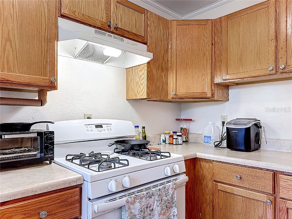 833 Oxford Street Longwood FL 32750 O6364169 image8