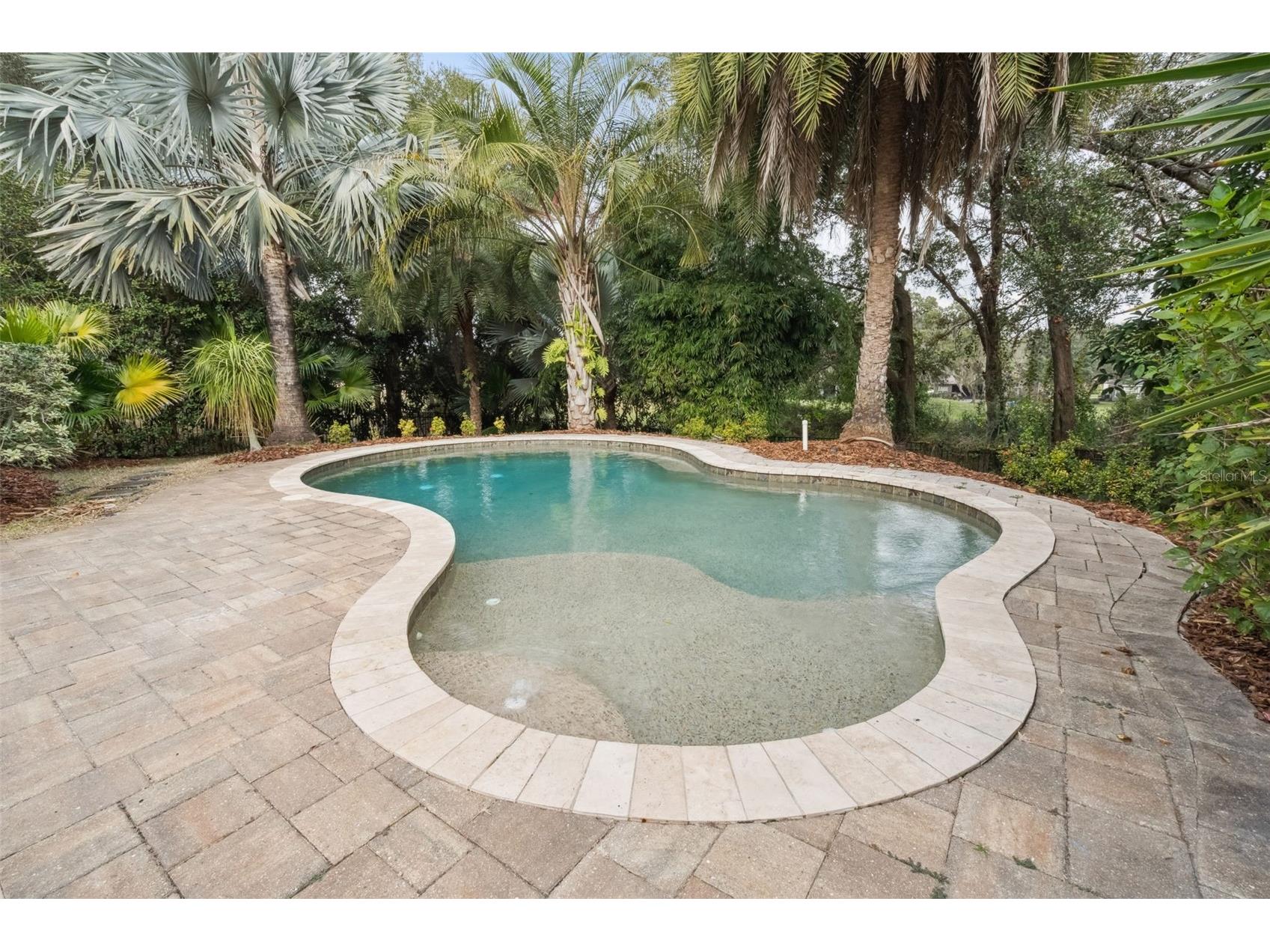 833 Rock Creek Street Apopka FL 32712 O6364885 image52