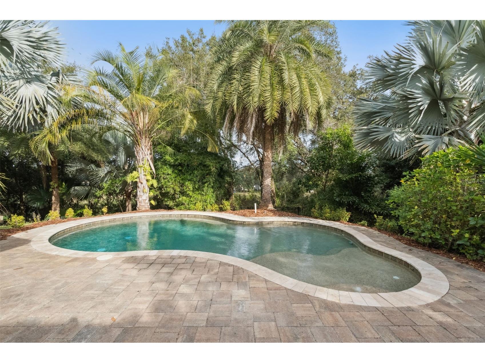 833 Rock Creek Street Apopka FL 32712 O6364885 image53