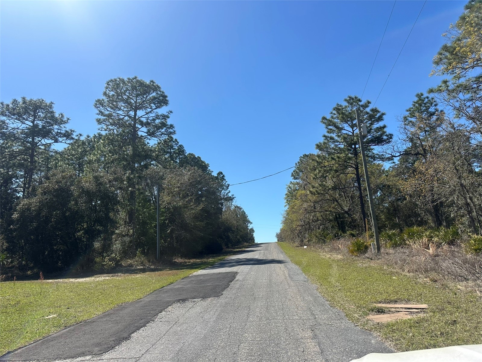 833 W Champlain Lane Citrus Springs FL 34434 OM719810 image2