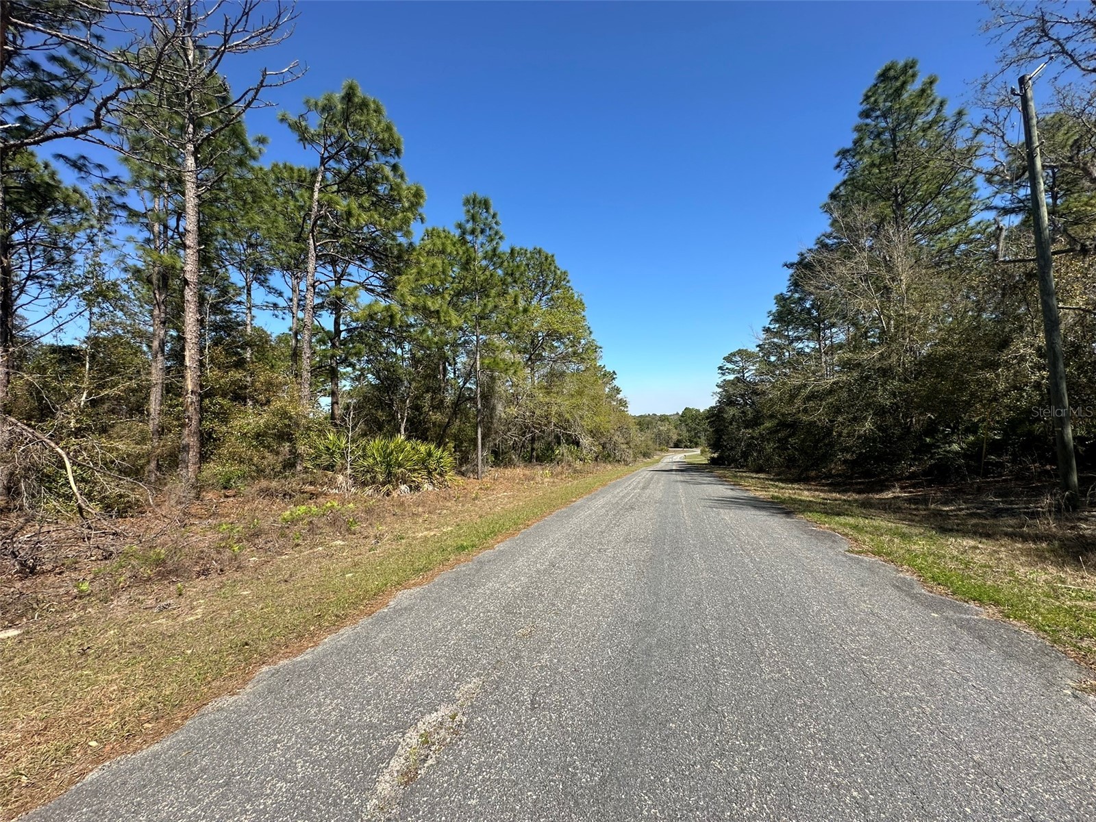 833 W Champlain Lane Citrus Springs FL 34434 OM719810 image4