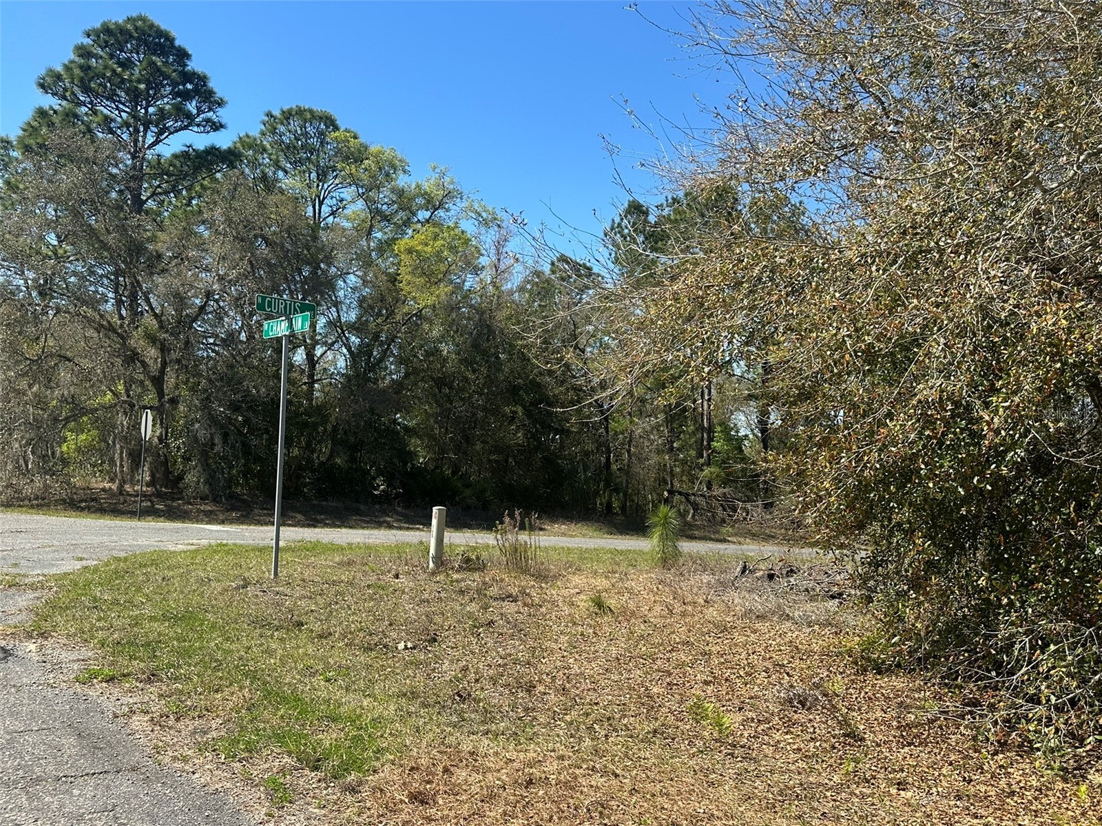 833 W Champlain Lane Citrus Springs FL 34434 OM719810 image5