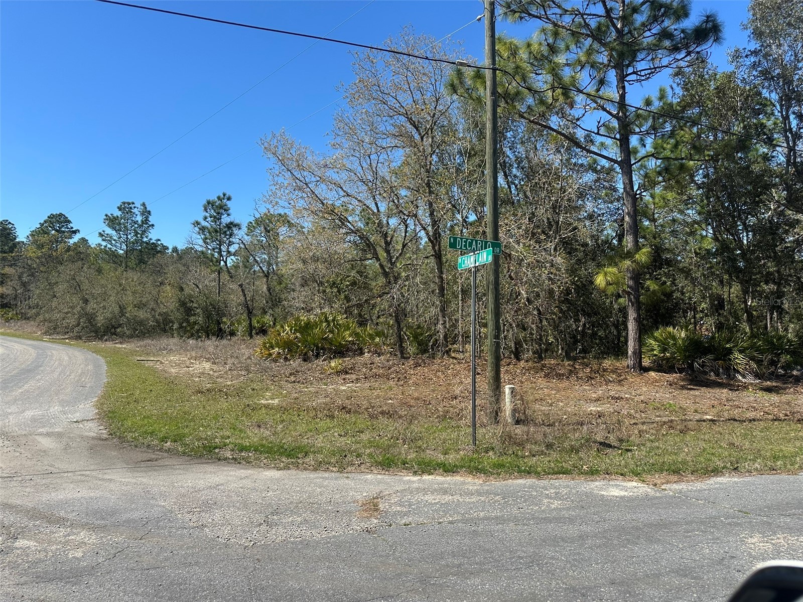 833 W Champlain Lane Citrus Springs FL 34434 OM719810 image6