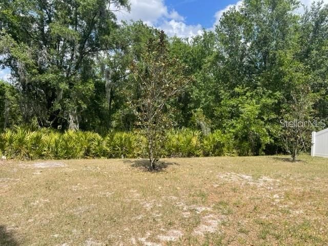 833 Wiltonway Drive Plant City FL 33563 TB8527321 image3