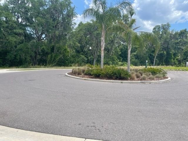 833 Wiltonway Drive Plant City FL 33563 TB8527321 image4
