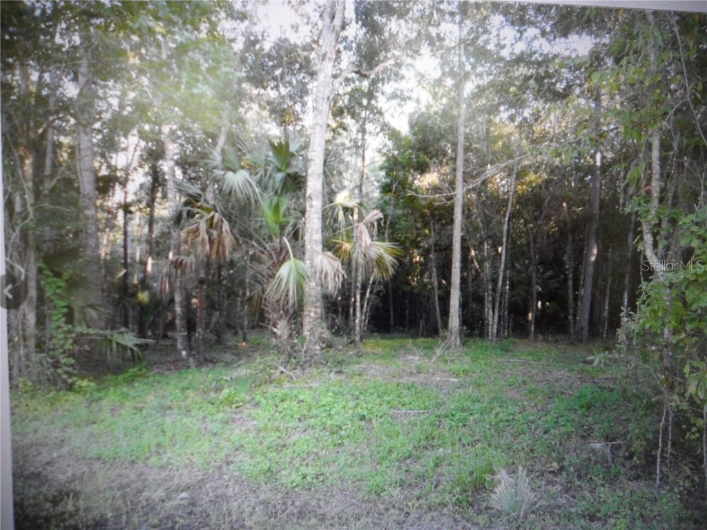 8330 & 8298 W Grover Cleveland Boulevard Homosassa FL 34446 OM711162 image3