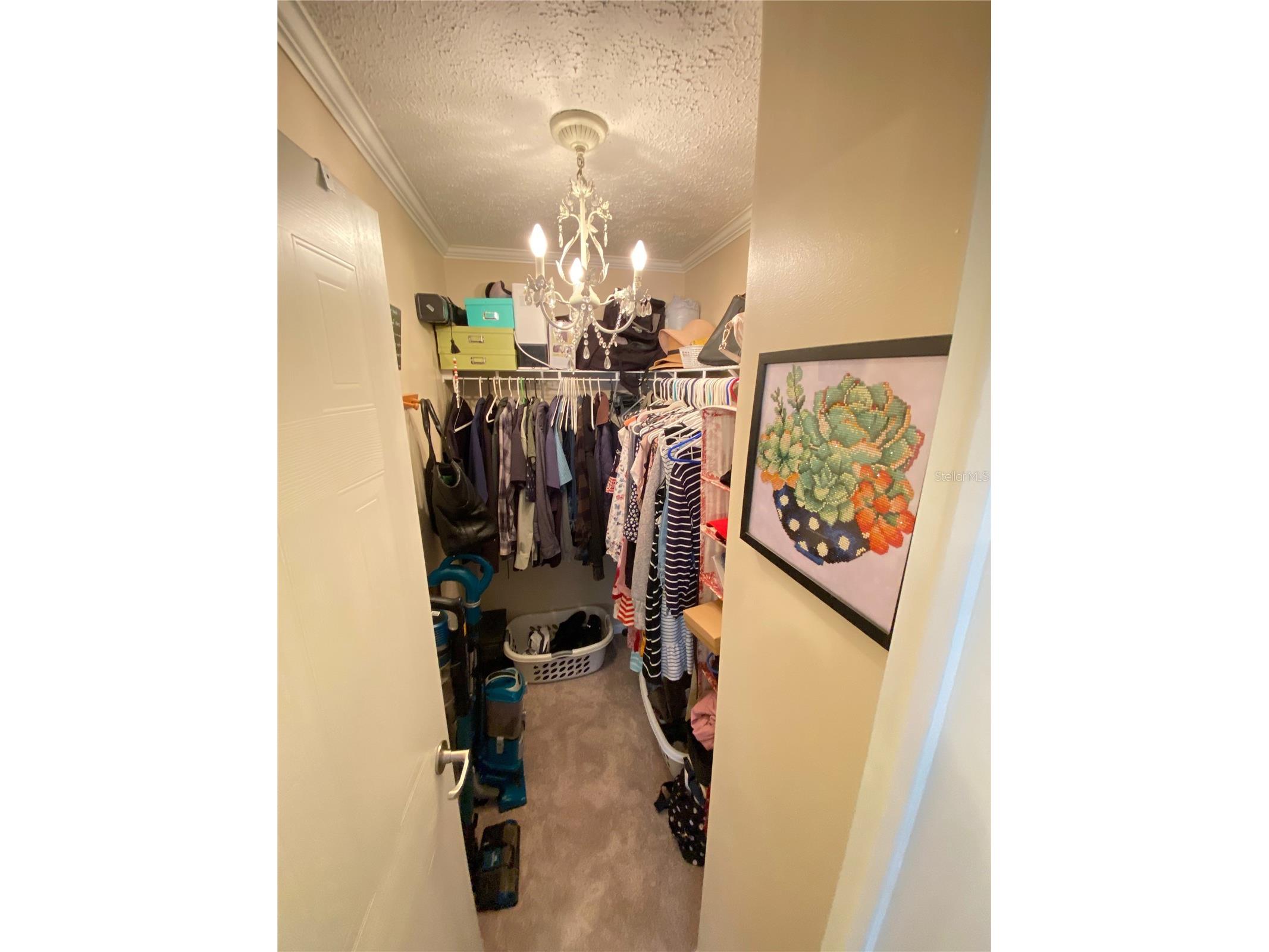 8330 Fantasia Park Way Riverview FL 33578 TB8502317 image25