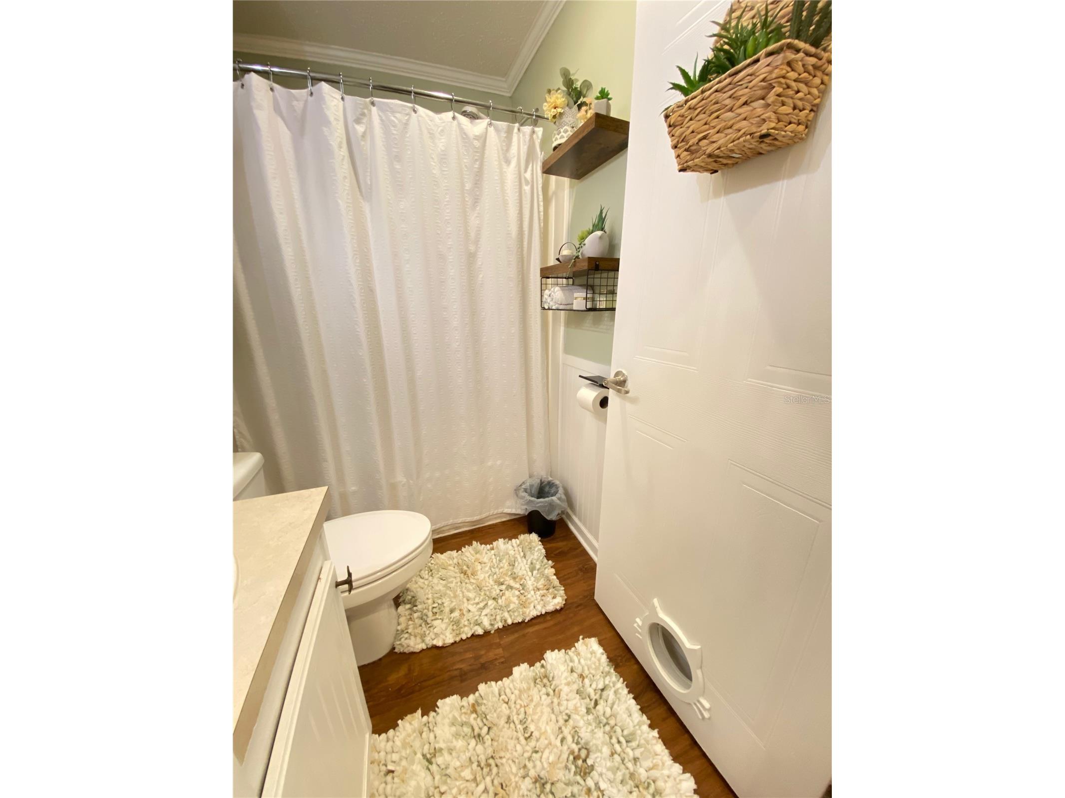 8330 Fantasia Park Way Riverview FL 33578 TB8502317 image33