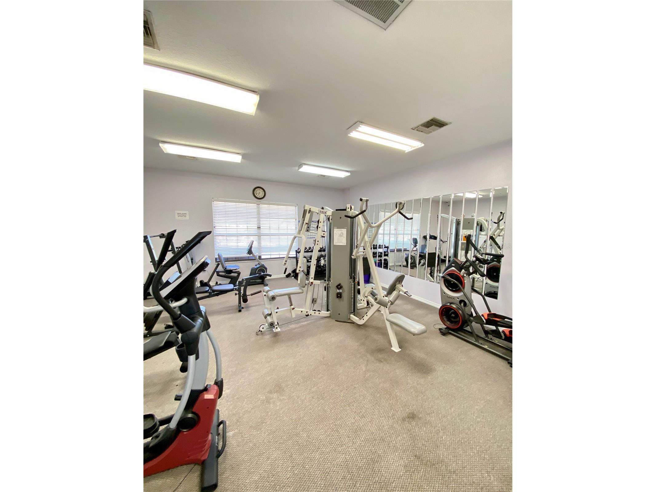 8330 Fantasia Park Way Riverview FL 33578 TB8502317 image51