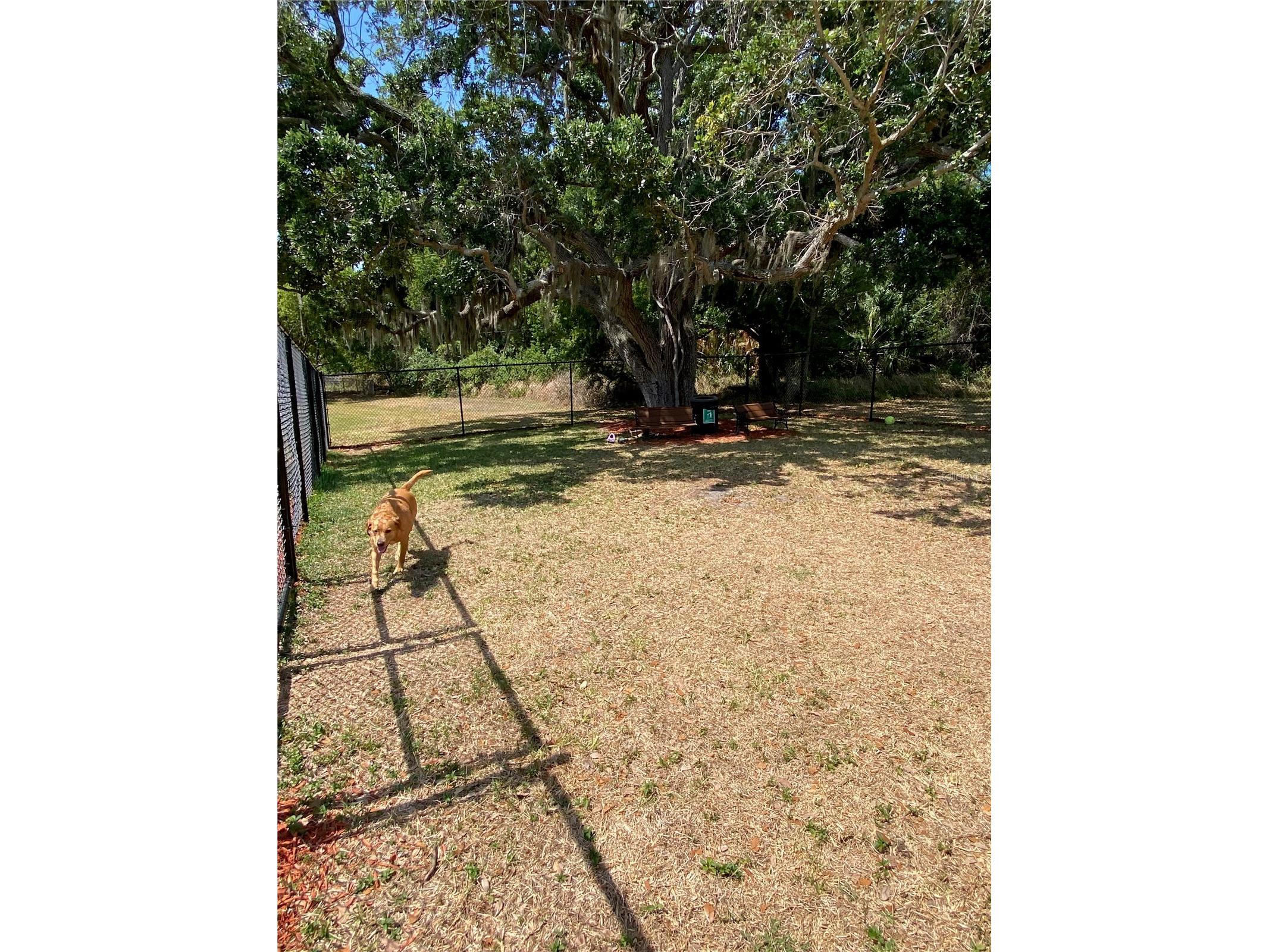 8330 Fantasia Park Way Riverview FL 33578 TB8502317 image59