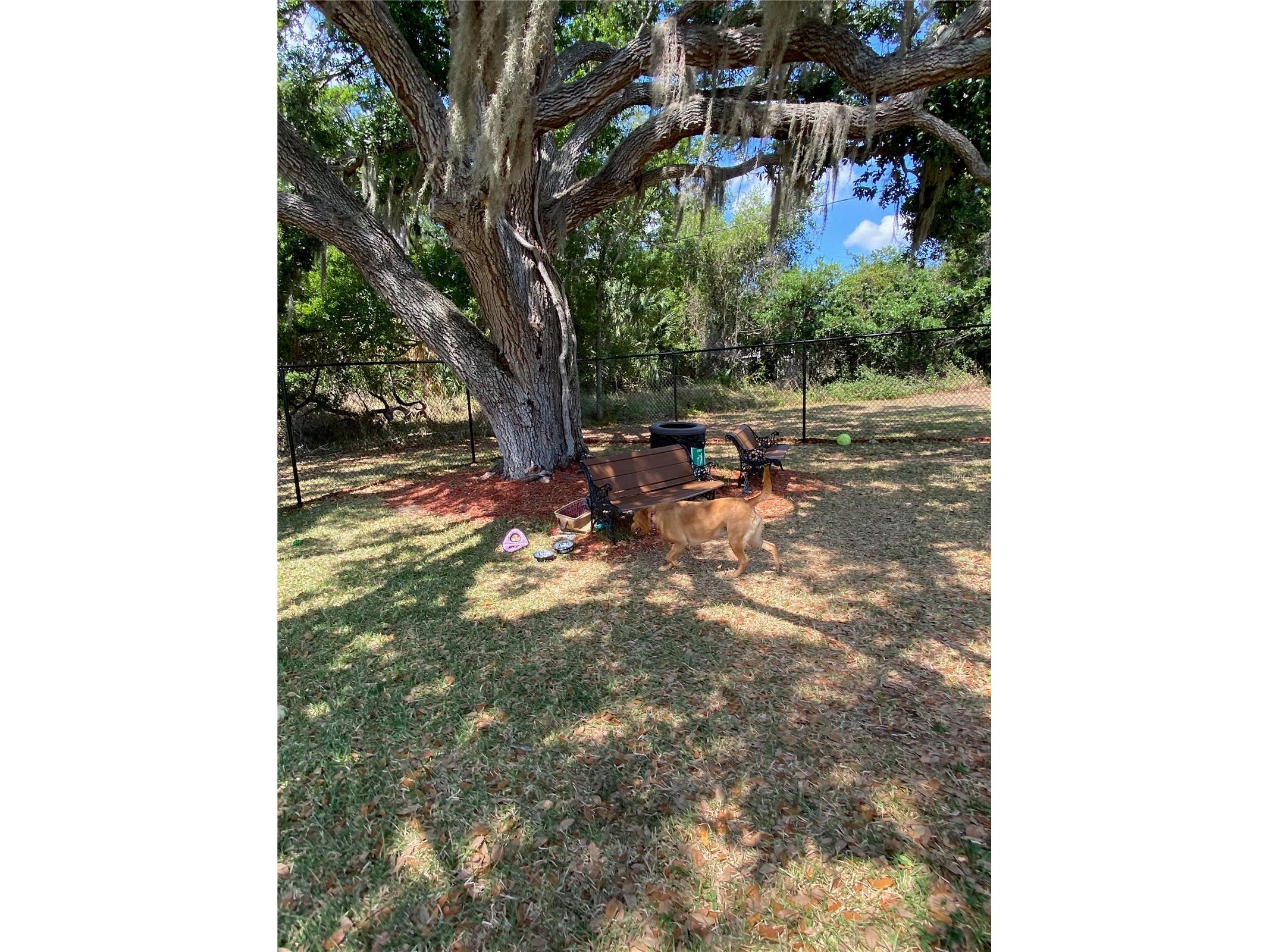 8330 Fantasia Park Way Riverview FL 33578 TB8502317 image60