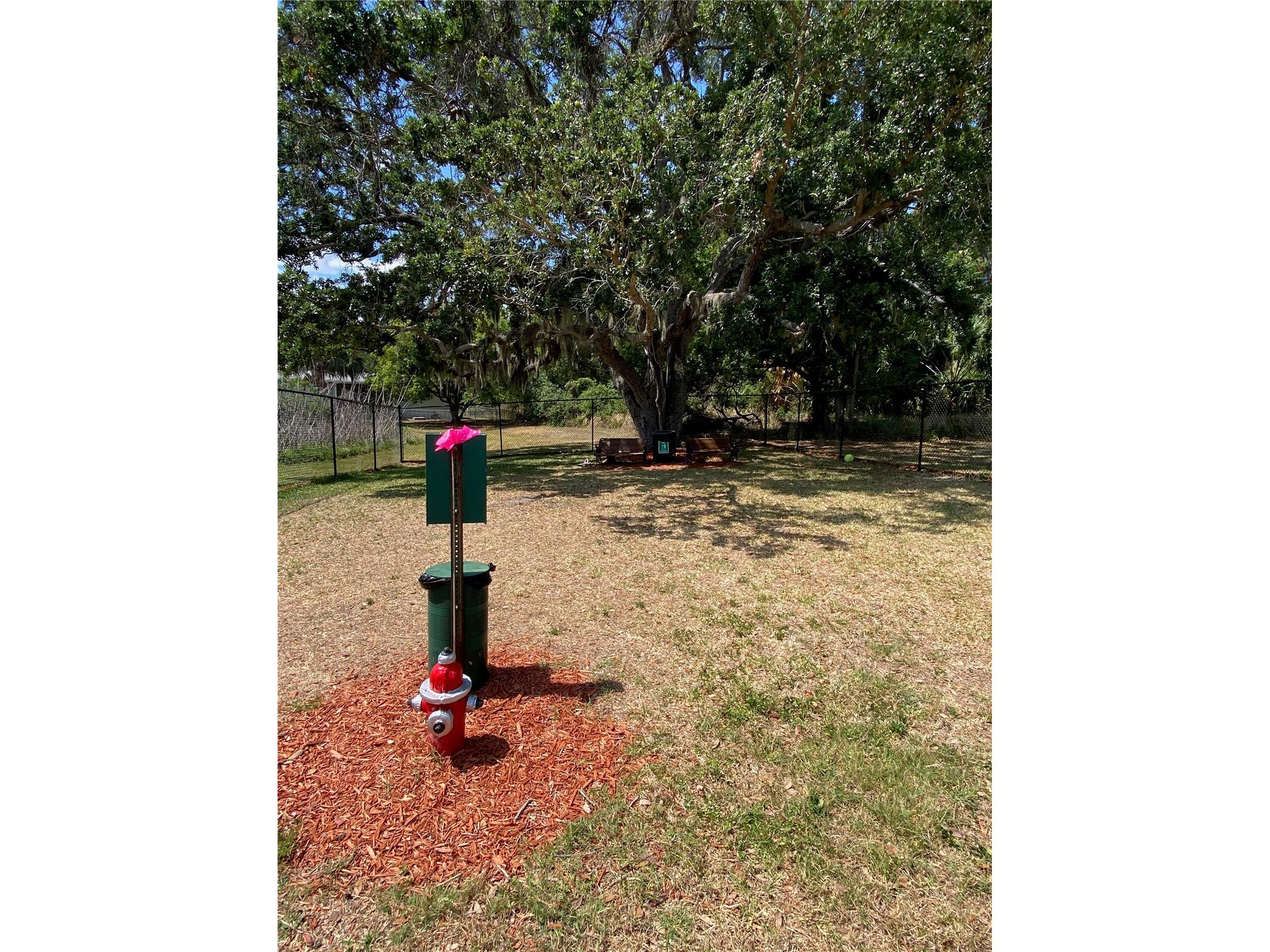 8330 Fantasia Park Way Riverview FL 33578 TB8502317 image62