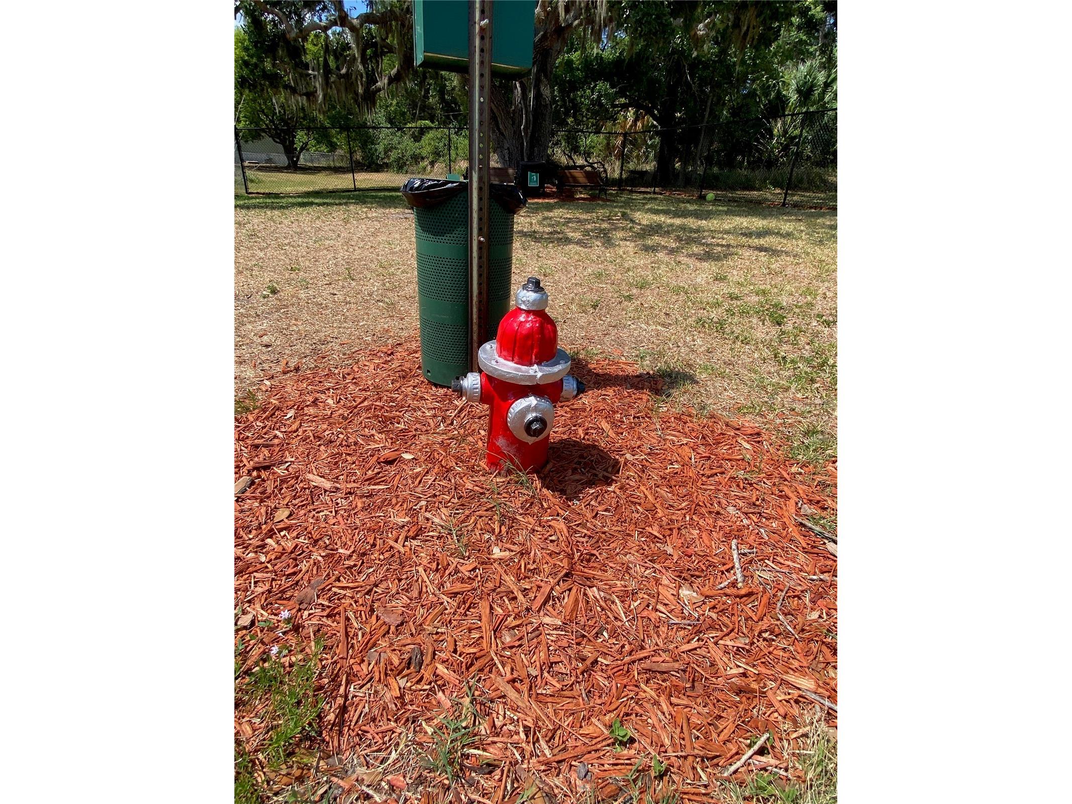 8330 Fantasia Park Way Riverview FL 33578 TB8502317 image63