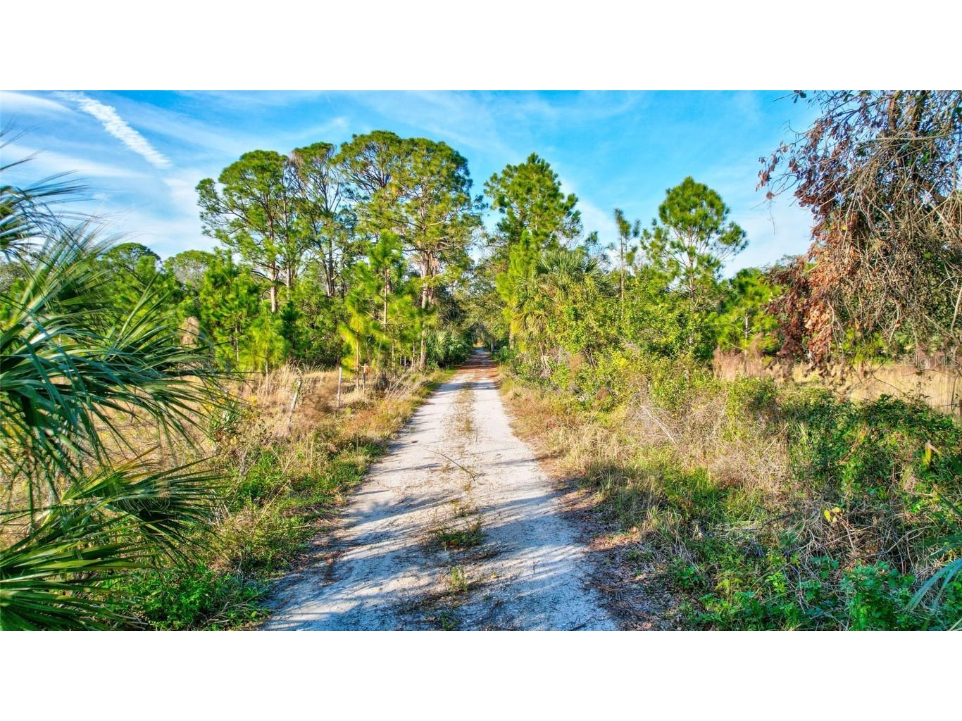 8330 Linger Lodge Road Bradenton FL 34202 - BRADEN RIVER A4638209 image23