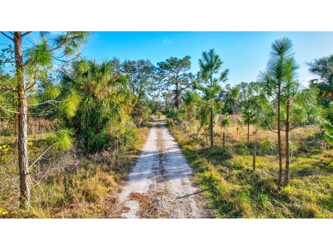 8330 Linger Lodge Road Bradenton FL 34202 - BRADEN RIVER A4638209 image24