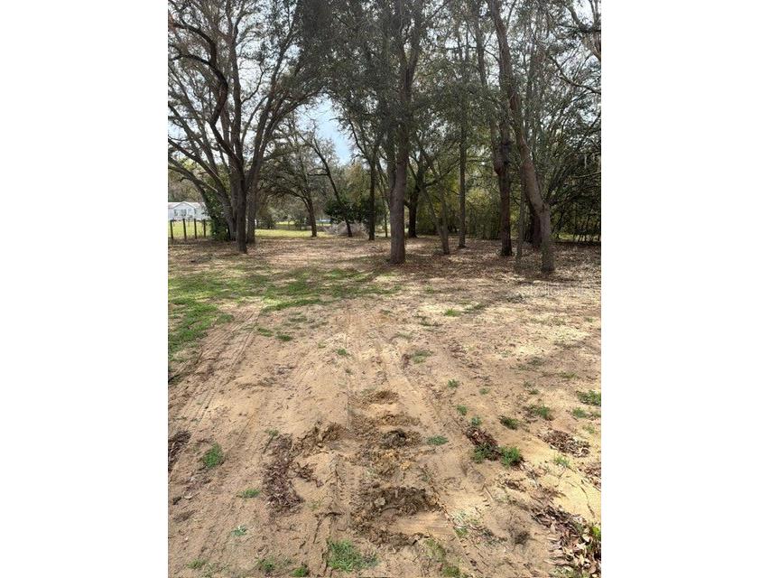 8330 NE 113th Lane Bronson FL 32621 OM721570 image27