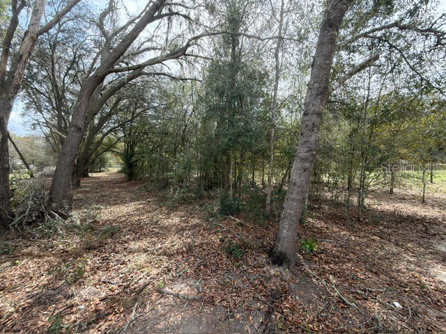 8330 NE 113th Lane Bronson FL 32621 OM721570 image28
