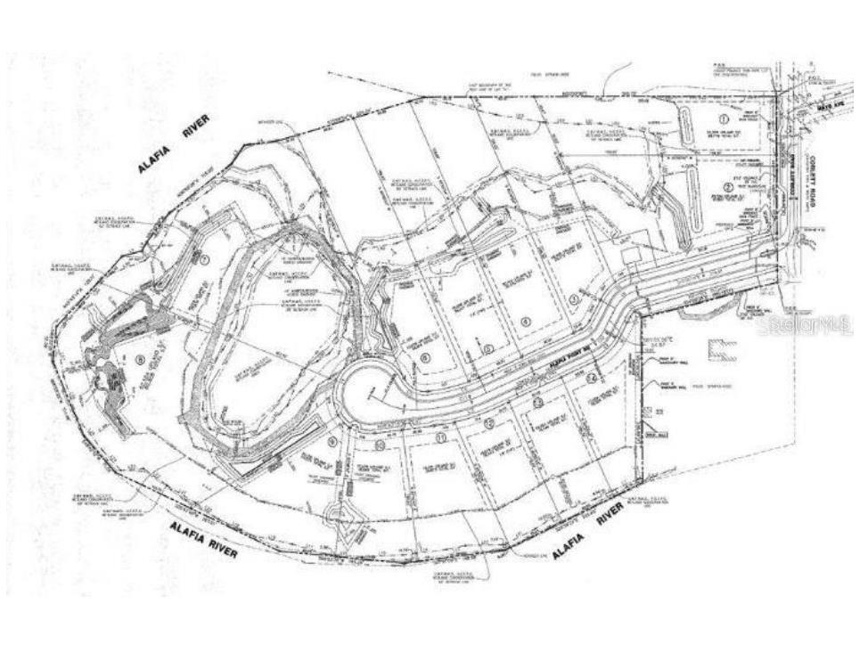 8331 Alafia Pointe Drive Riverview FL 33578 - ALAFIA RIVER TB8396778 image19