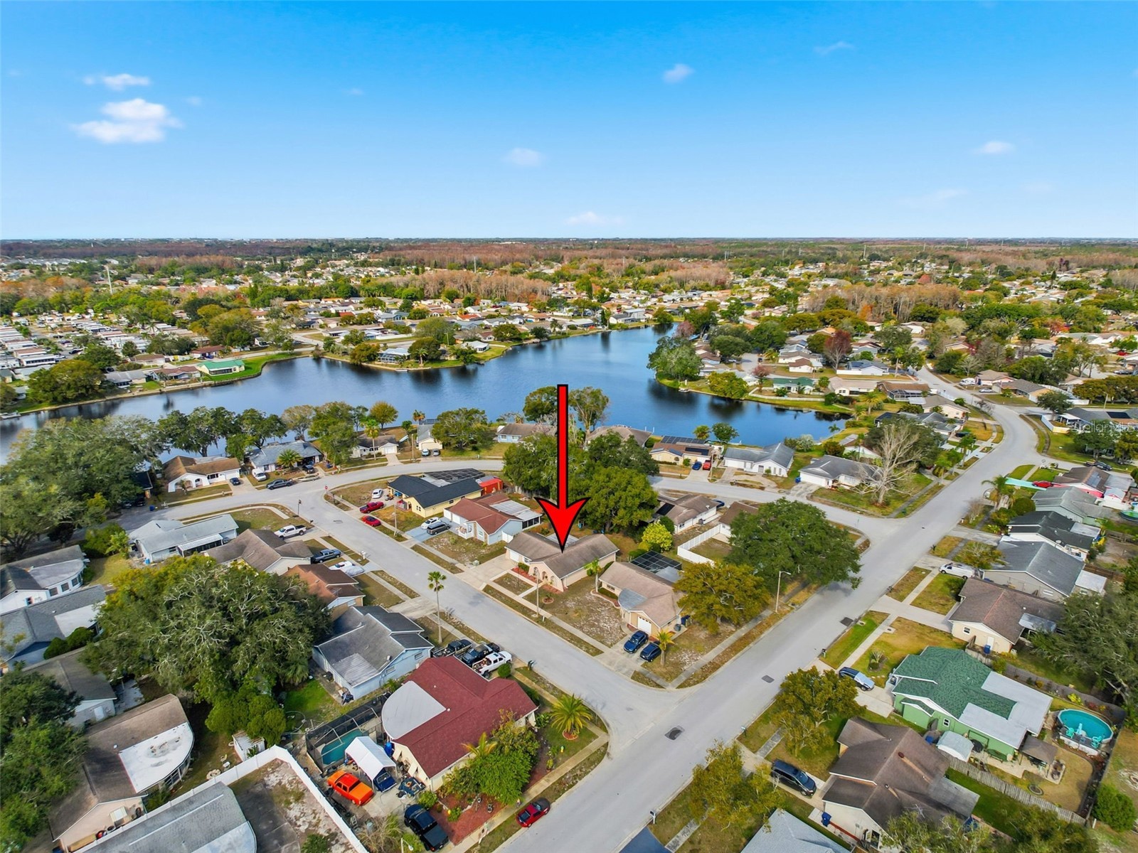 8331 Bluebonnet Place New Port Richey FL 34653 W7882250 image29