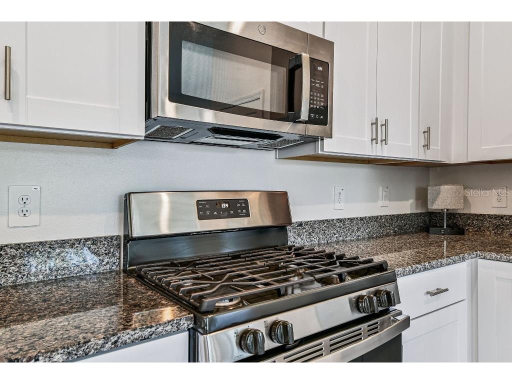 8331 Corner Pine Way New Port Richey FL 34655 TB8418976 image22