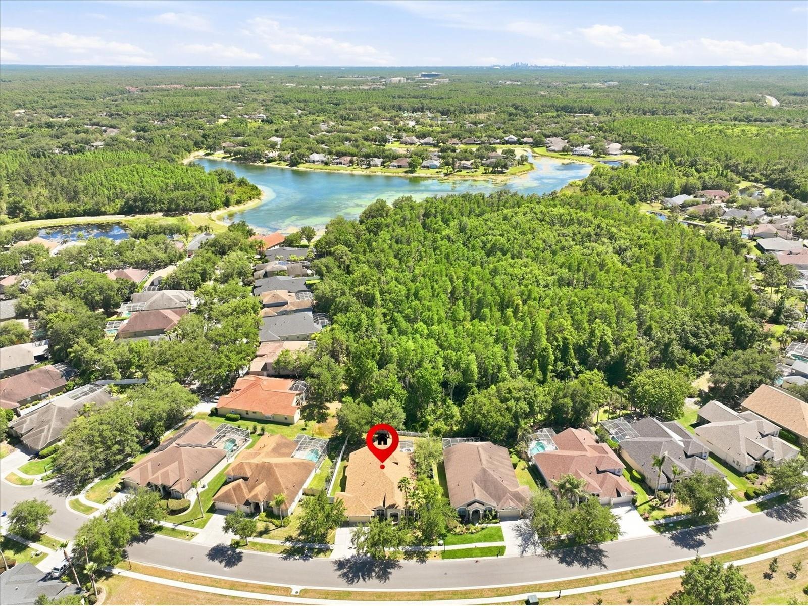 8331 Golden Prairie Drive Tampa FL 33647 TB8503223 image2