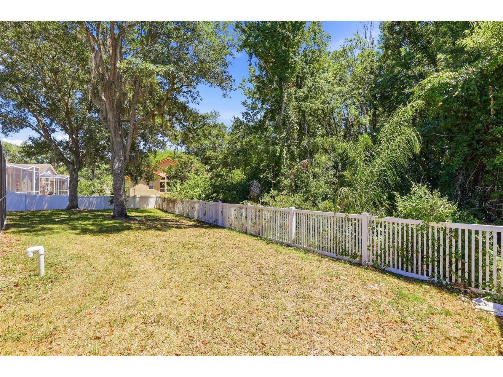 8331 Golden Prairie Drive Tampa FL 33647 TB8503223 image43