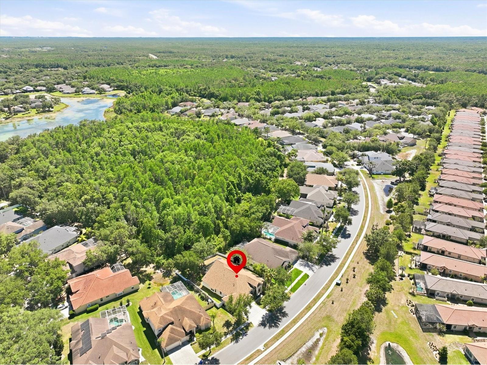 8331 Golden Prairie Drive Tampa FL 33647 TB8503223 image45