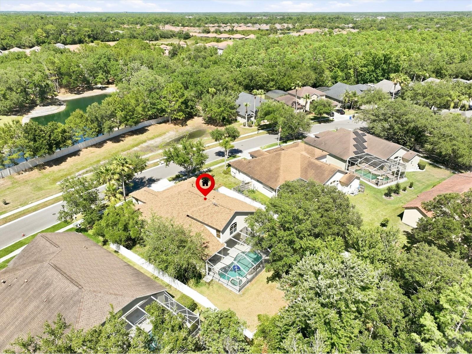8331 Golden Prairie Drive Tampa FL 33647 TB8503223 image46