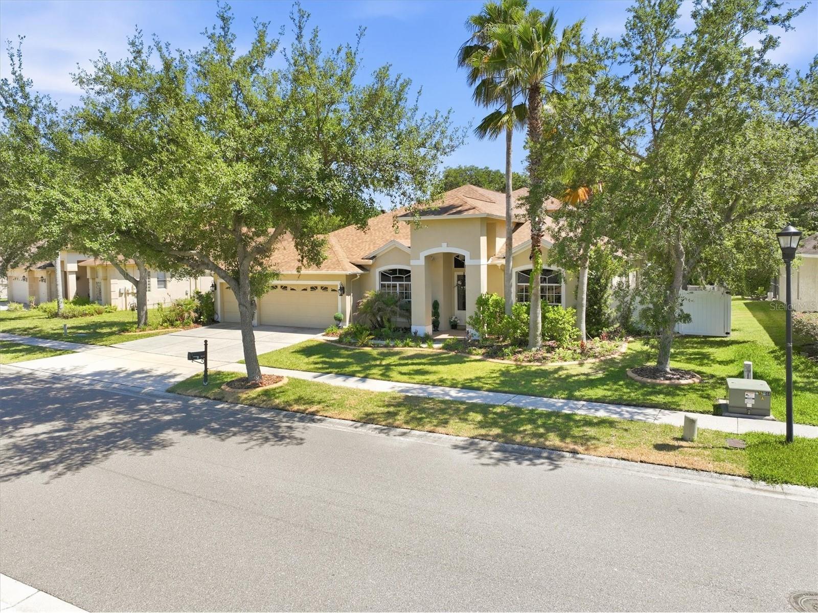 8331 Golden Prairie Drive Tampa FL 33647 TB8503223 image47
