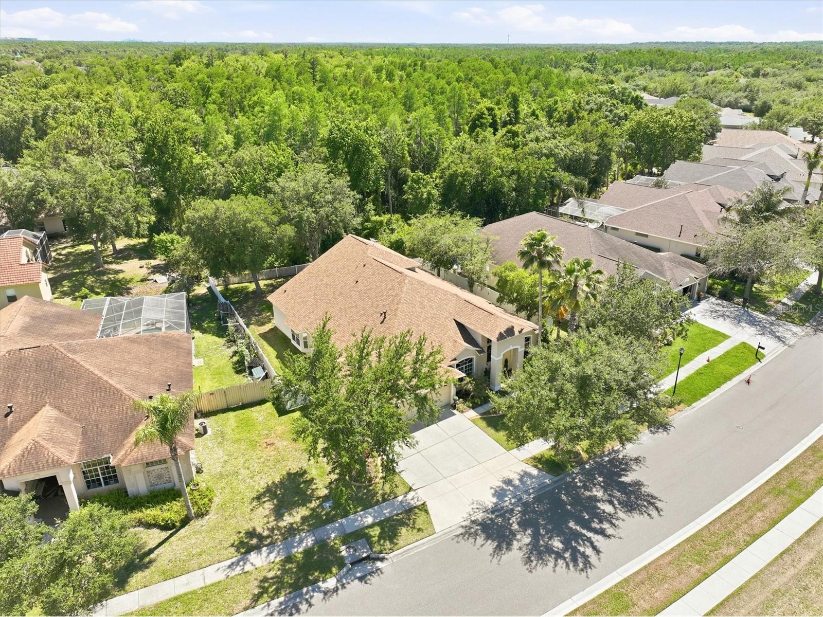 8331 Golden Prairie Drive Tampa FL 33647 TB8503223 image48