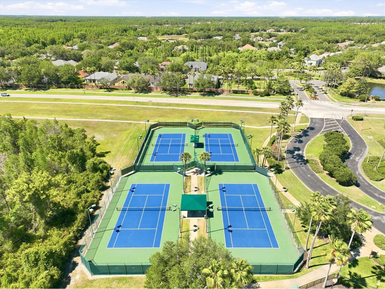 8331 Golden Prairie Drive Tampa FL 33647 TB8503223 image53